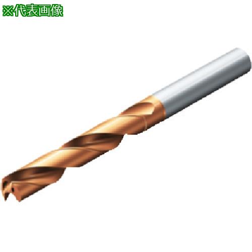 ■【在庫限り】SANDVIK コロドリル860-PM 超硬ソリッドドリル(720) 4234〔品番:860.20675021A1PM〕【5650879:0】[店頭受取不可]｜ホームセンターバロー　店 15,523円