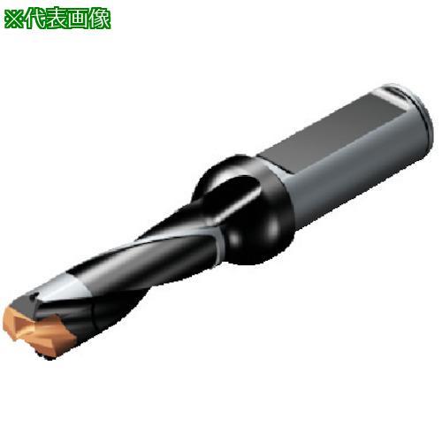 ■SANDVIK コロドリル870 ヘッド交換式ドリル(446)〔品番:870125011L163〕【5654718:0】[送料別途見積り][掲外取寄][店頭受取不可]｜ホームセンターバロー　店