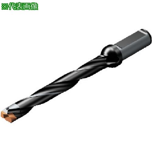 ■SANDVIK コロドリル870 ヘッド交換式ドリル(446)〔品番:870150015L208〕【5655340:0】[店頭受取不可]｜ホームセンターバロー　店