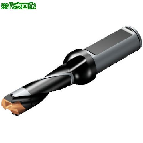 ■SANDVIK コロドリル870 ヘッド交換式ドリル(446)〔品番:870210021L253〕【5656770:0】[送料別途見積り][掲外取寄][店頭受取不可]