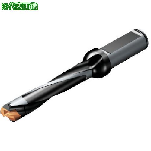 ■SANDVIK コロドリル870 ヘッド交換式ドリル(446)〔品番:870220022L255〕【5657016:0】[送料別途見積り][掲外取寄][店頭受取不可]