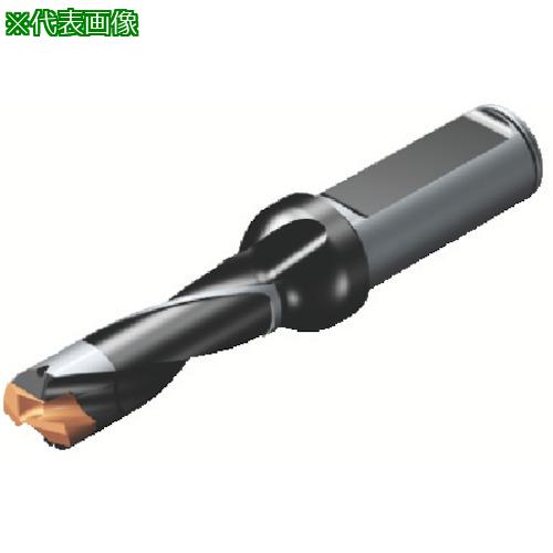 ■SANDVIK コロドリル870 ヘッド交換式ドリル(446)〔品番:870290029L328〕【5658322:0】[送料別途見積り][掲外取寄][店頭受取不可]