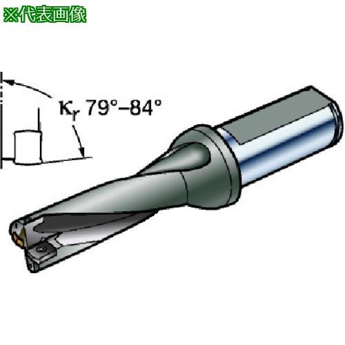 ■SANDVIK 刃先交換式ドリル コロドリル881 円筒シャンク(465)〔品番:881D2200L2502〕【5661757:0】[送料別途見積り][掲外取寄][店頭受取不可]