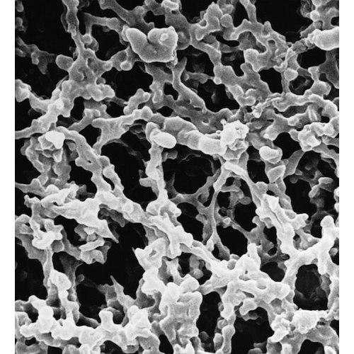 ■Merck MF-ミリポアメンブレン・セルロース混合エステル・親水性・1.2 マイクロメートル・47 mm・白色・無地〔品番:RAWP04700〕【5664821:0】[送料別途見積り][法人・事業所限定][外直送][店頭受取不可]