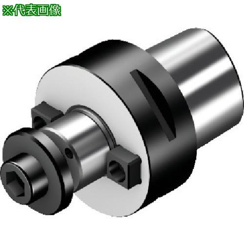■SANDVIK フェースミルホルダ(530)〔品番:C6391.05C32025M〕【5680484:0】[送料別途見積り][掲外取寄][店頭受取不可]｜ホームセンターバロー　店