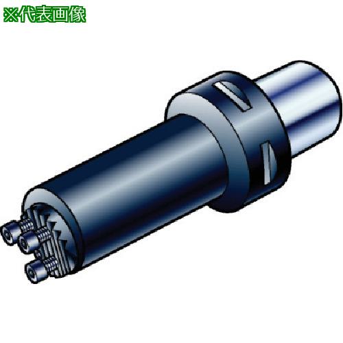 ■SANDVIK コロマントキャプト コロターンSLボーリングバイト(410)〔品番:C65702C32066R〕【5680913:0】[送料別途見積り][掲外取寄][店頭受取不可]