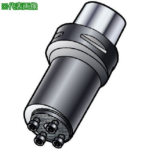 ■SANDVIK コロマントキャプト コロターンSLボーリングバイト(410)〔品番:C65702C50097L40〕【5680948:0】[送料別途見積り][掲外取寄][店頭受取不可]｜ホームセンターバロー　店