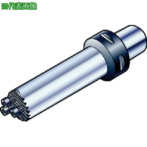 ■SANDVIK コロマントキャプト コロターンSL超硬補強防振ボーリングバイト(410)〔品番:C8SL3C32352CR〕【5687616:0】[送料別途見積り][法人・事業所限定][掲外取寄][店頭受取不可]