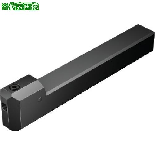 ■SANDVIK 角シャンク コロターンXSアダプタ(425)〔品番:CXS161605FN〕【5697921:0】[送料別途見積り][法人・事業所限定][掲外取寄][店頭受取不可]