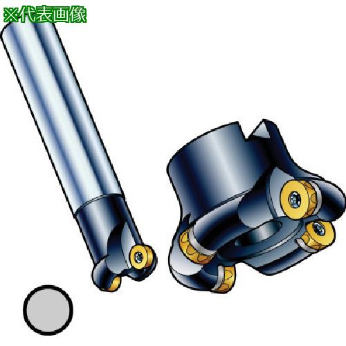 ■SANDVIK コロミルCoroMill[[R上]]200 倣いフライス加工用カッター(450)〔品番:R200109Q3216L〕【5737125:0】[送料別途見積り][掲外取寄][店頭受取不可]｜ホームセンターバロー　店
