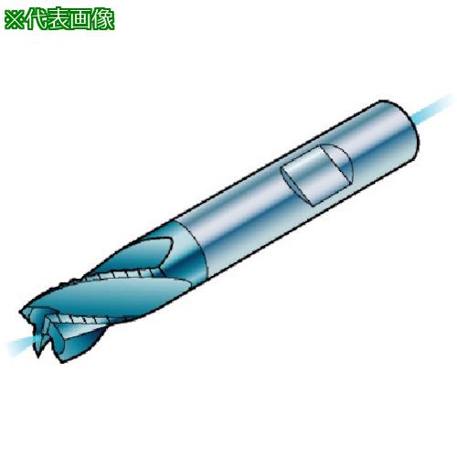 ■SANDVIK コロミルプルーラ 超硬ソリッドエンドミル(730) 1640〔品番:R215.34C20050BC38P〕【5738121:0】[送料別途見積り][掲外取寄][店頭受取不可]