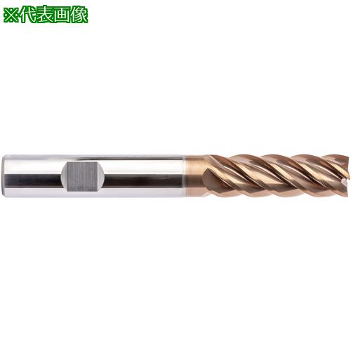 ■MAPAL エンドミル〔品番:SCM6300600Z05RR0010HBHP826〕【5741310:0】[送料別途見積り][法人・事業所限定][掲外取寄][店頭受取不可]