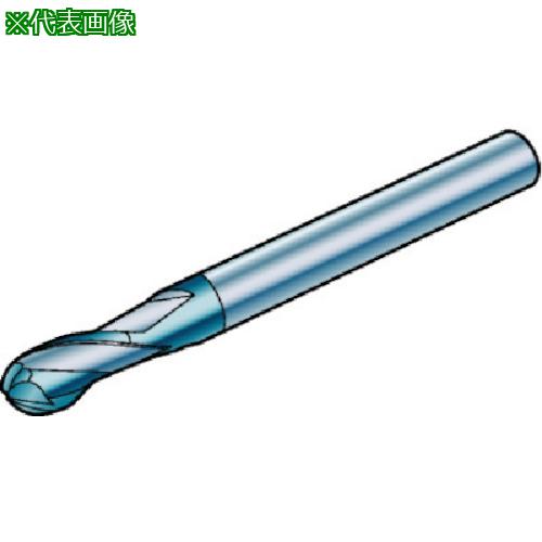 ■SANDVIK コロミルプルーラ 超硬ソリッドエンドミル(730) 1610〔品番:R216.4206030AK10G〕【5745209:0】[送料別途見積り][掲外取寄][店頭受取不可]