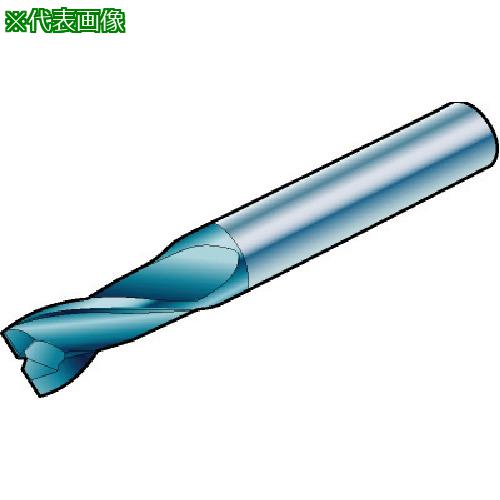 ■SANDVIK コロミルプルーラ 超硬ソリッドエンドミル(730) 1620〔品番:R216.T410030CAS14N〕【5745942:0】[送料別途見積り][掲外取寄][店頭受取不可]