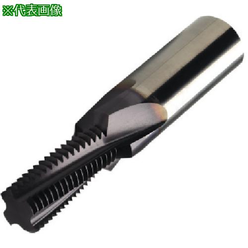 ■SANDVIK スレッドミル(730) 1630〔品番:R217.13C048100CC13K〕【5747503:0】[送料別途見積り][掲外取寄][店頭受取不可]