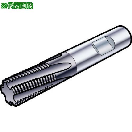 ■SANDVIK コロミルプルーラ スレッドエンドミル(730) 1630〔品番:R217.15C120200AK34N〕【5747961:0】[送料別途見積り][掲外取寄][店頭受取不可]