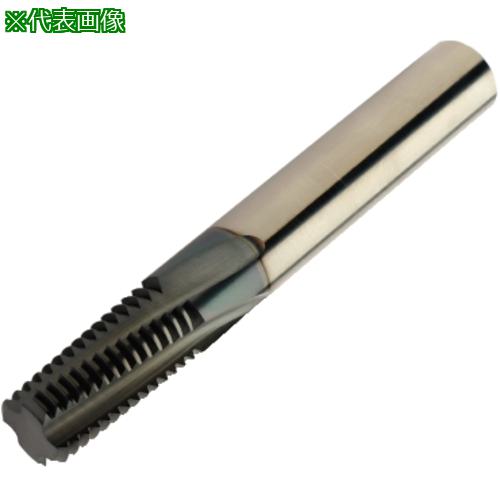 ■SANDVIK コロミルプルーラ ねじ切り加工用超硬エンドミル(730) 1630〔品番:R217.34C100120AC21N〕【5748101:0】[送料別途見積り][法人・事業所限定][掲外取寄][店頭受取不可]
