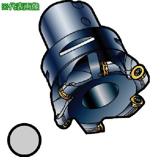 ■SANDVIK コロミルCoroMill[[R上]]300 プロファイルフライス加工用カッター(440)〔品番:R300042C410H〕【5749981:0】[送料別途見積り][掲外取寄][店頭受取不可]｜ホームセンターバロー　店