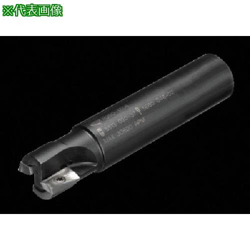 ■SANDVIK コロミル390エンドミル(440)〔品番:R390016B1611L〕【5755999:0】[送料別途見積り][掲外取寄][店頭受取不可]