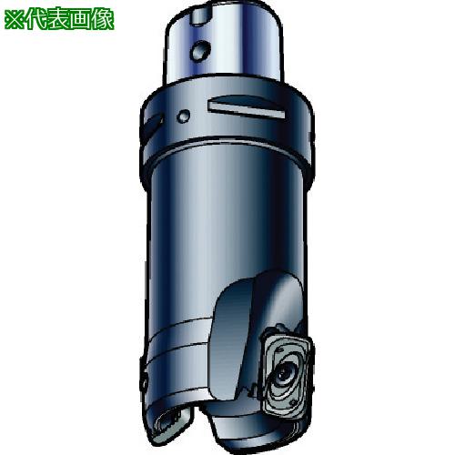 ■SANDVIK コロミル790カッター(440)〔品番:R790054C5S116H〕【5760445:0】[送料別途見積り][掲外取寄][店頭受取不可]