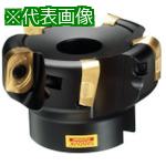 ■SANDVIK コロミル390カッター(450)〔品番:RA390125J38.118M〕【5776376:0】[送料別途見積り][掲外取寄][店頭受取不可]