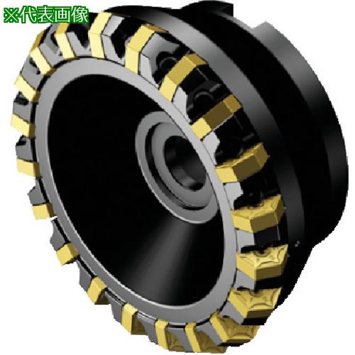 ■SANDVIK コロミル S-60カッター(450)〔品番:S60100Q3209HX〕【5781493:0】[送料別途見積り][掲外取寄][店頭受取不可]
