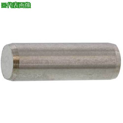 ■SUNCO SUS 平行ピン(B種 5 X 16 (500本入)〔品番:D002010B0050016000〕【5786536:0】[送料別途見積り][掲外取寄][店頭受取不可]｜ホームセンターバロー　店