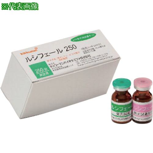 超ワイドモンキレンチ×北斗の拳|最強二人三脚がここに具体化！ 花・ガーデン・DIY-設備