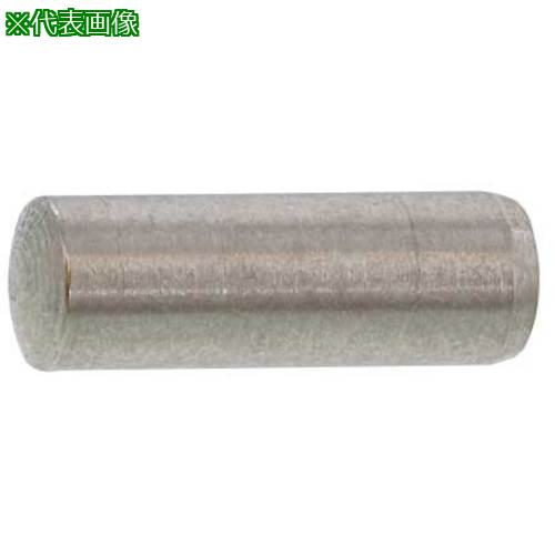■SUNCO SUS 平行ピン(A種 3X14 (1000本入)〔品番:D002010A0030014000〕【5799113:0】[送料別途見積り][掲外取寄][店頭受取不可]
