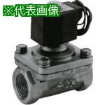 ■CKD パイロットキック式2ポート電磁弁(マルチレックスバルブ)〔品番:ADK1125A02GDC24V〕【5809916:0】[送料別途見積り][掲外取寄][店頭受取不可]｜ホームセンターバロー　店