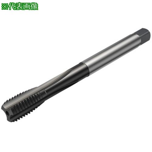 ■SANDVIK コロタップ100 ストレートタップ(780) N1PR〔品番:T100NM107DBM12X150〕【5810964:0】[送料別途見積り][掲外取寄][店頭受取不可]