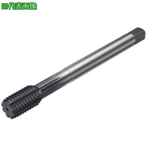■SANDVIK コロタップ400 転造タップ(780) N1PC〔品番:T400NM103DAM16〕【5812562:0】[送料別途見積り][法人・事業所限定][掲外取寄][店頭受取不可]｜ホームセンターバロー　店