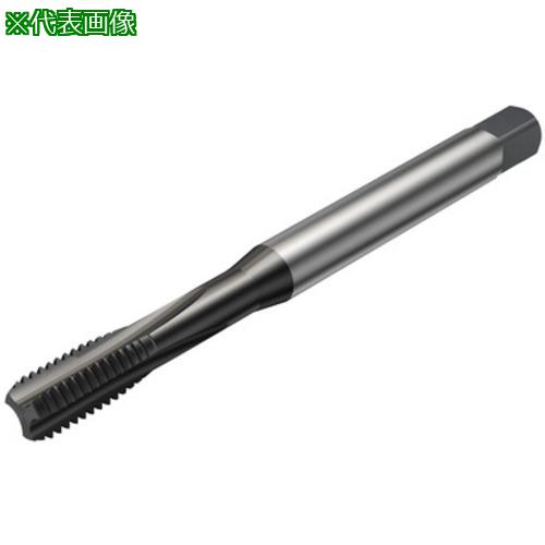 ■SANDVIK コロタップ100 ストレートタップ(780) N1PR〔品番:T100NM102ABM3X035〕【5814084:0】[送料別途見積り][法人・事業所限定][掲外取寄][店頭受取不可]