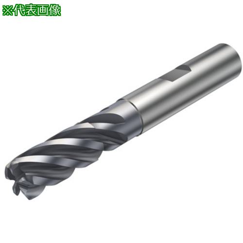 ■SANDVIK コロミルCoroMill[[R上]]Plura 重切削フライス加工用超硬エンドミル(730) P2BM〔品番:2F3421600050PD〕【5814102:0】[送料別途見積り][掲外取寄][店頭受取不可]｜ホームセンターバロー　店