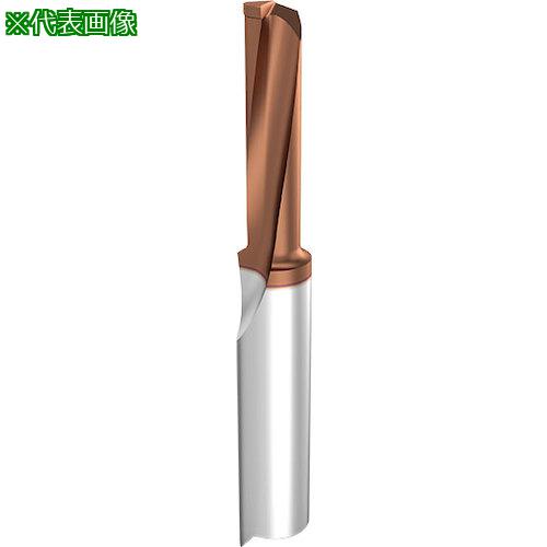 ■GUHRING 穴あけ&ボーリング加工用インサート QG106.0538.020.11.40.R〔品番:269066.001〕【5824912:0】[送料別途見積り][法人・事業所限定][掲外取寄][店頭受取不可]