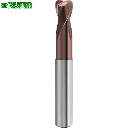 ■GUHRING 2枚刃トーラスエンドミル G-Mold 55 T レギュラ 12mm〔品番:685012.010〕【5853233:0】[送料別途見積り][掲外取寄][店頭受取不可]