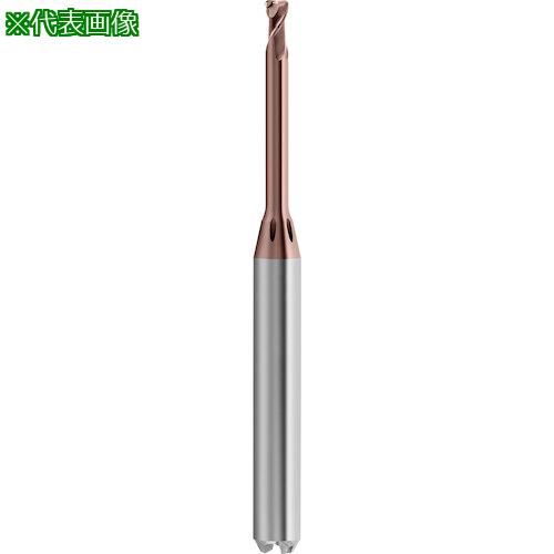 ■GUHRING 2枚刃高精度トーラスエンドミル G-Mold マイクロ 65 T レギュラ 0.6mm〔品番:68230.601〕【5854781:0】[送料別途見積り][掲外取寄][店頭受取不可]