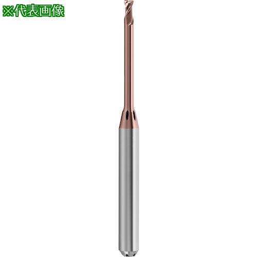 ■GUHRING 2枚刃高精度トーラスエンドミル G-Mold マイクロ 65 T レギュラ 0.6mm〔品番:68240.601〕【5856373:0】[送料別途見積り][掲外取寄][店頭受取不可]