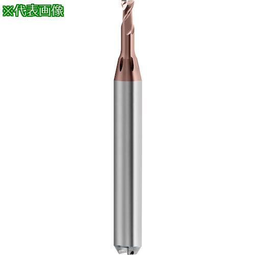 ■GUHRING 2枚刃高精度トーラスエンドミル G-Mold マイクロ 65 T ショート 3mm〔品番:68213.002〕【5857927:0】[送料別途見積り][掲外取寄][店頭受取不可]｜ホームセンターバロー　店