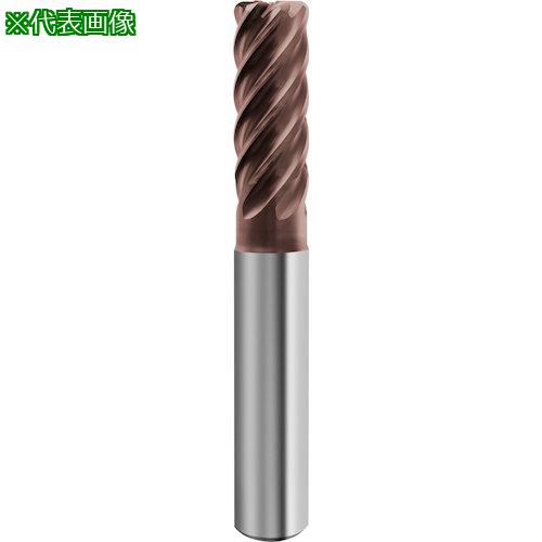 ■GUHRING 6枚刃仕上用ラジアスエンドミル G-Mold 65 FR レギュラ 12mm〔品番:694712.010〕【5858029:0】[送料別途見積り][掲外取寄][店頭受取不可]