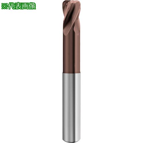 ■GUHRING 4枚刃トーラスエンドミル G-Mold 65 T ロング 12mm〔品番:685512.040〕【5859541:0】[送料別途見積り][掲外取寄][店頭受取不可]