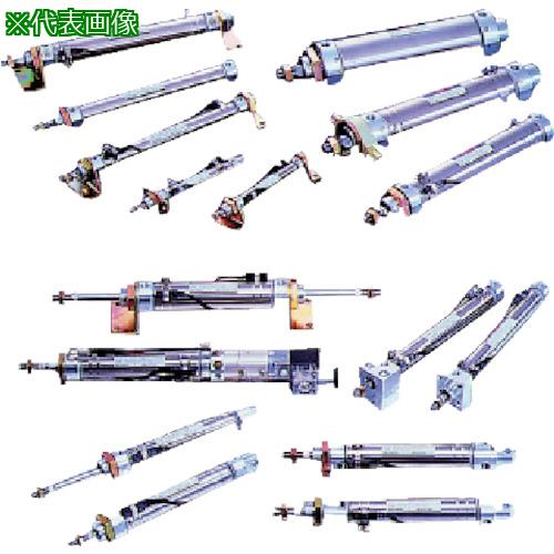 ■TAIYO 空気圧シリンダ〔品番:10Z3FK50B300〕【5870321:0】[送料別途見積り][掲外取寄][店頭受取不可]｜ホームセンターバロー　店