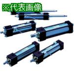 ■TAIYO 油圧シリンダ〔品番:160H11FA63BB100AB〕【5936241:0】[送料別途見積り][掲外取寄][店頭受取不可]