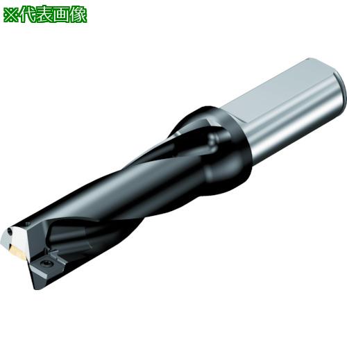 ■SANDVIK 刃先交換式ドリル スーパーUドリル(465)〔品番:880D1700L2002〕【6005039:0】[店頭受取不可]｜ホームセンターバロー　店