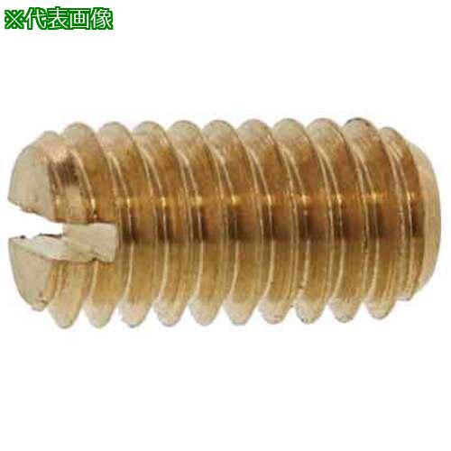 ■SUNCO ニッケル ECO-BS (-)止めネジ(平先 3 X 5.0 (500本入)〔品番:C1010J0C0030005005〕【6024022:0】[送料別途見積り][掲外取寄][店頭受取不可]