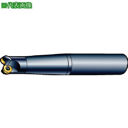 ■SANDVIK コロミル300 正面フライスカッター(440)〔品番:R300032A2510M〕【6039251:0】[店頭受取不可]