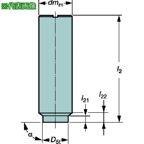 ■SANDVIK 円筒シャンク Coromant[[R上]]EHアダプタ(445)〔品番:E12A12SE100〕【6097189:0】[店頭受取不可]｜ホームセンターバロー　店 38,968円