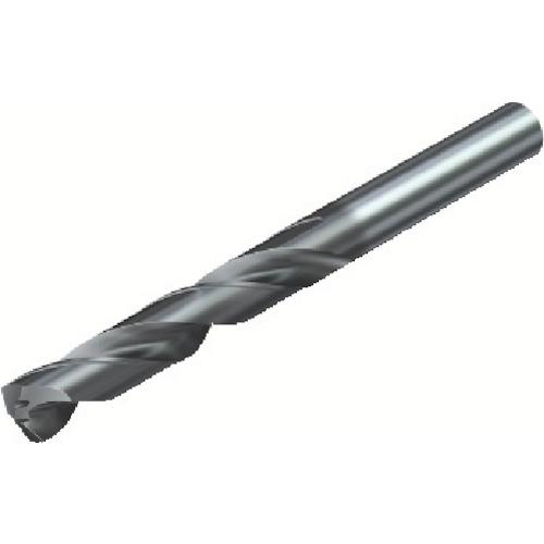 ■【在庫限り】SANDVIK コロドリル460 超硬ソリッドドリル(722) GC34〔品番:460.10600045A1XM〕【6115802:0】[店頭受取不可] 13,355円
