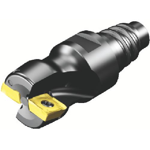 ■SANDVIK コロミル490エンドミル(455)〔品番:490032EH2508M〕【6116701:0】[送料別途見積り][掲外取寄][店頭受取不可]