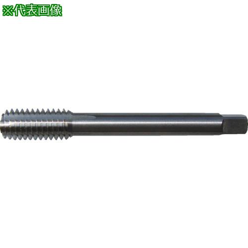 ■田野井製作所 超硬タフレット M6&times;1 B7 80900〔品番:TCTFM6X1B7〕【6172655:0】[店頭受取不可]｜ホームセンターバロー　店 13,471円